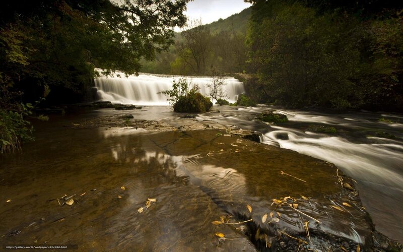 Waterfall in a forest