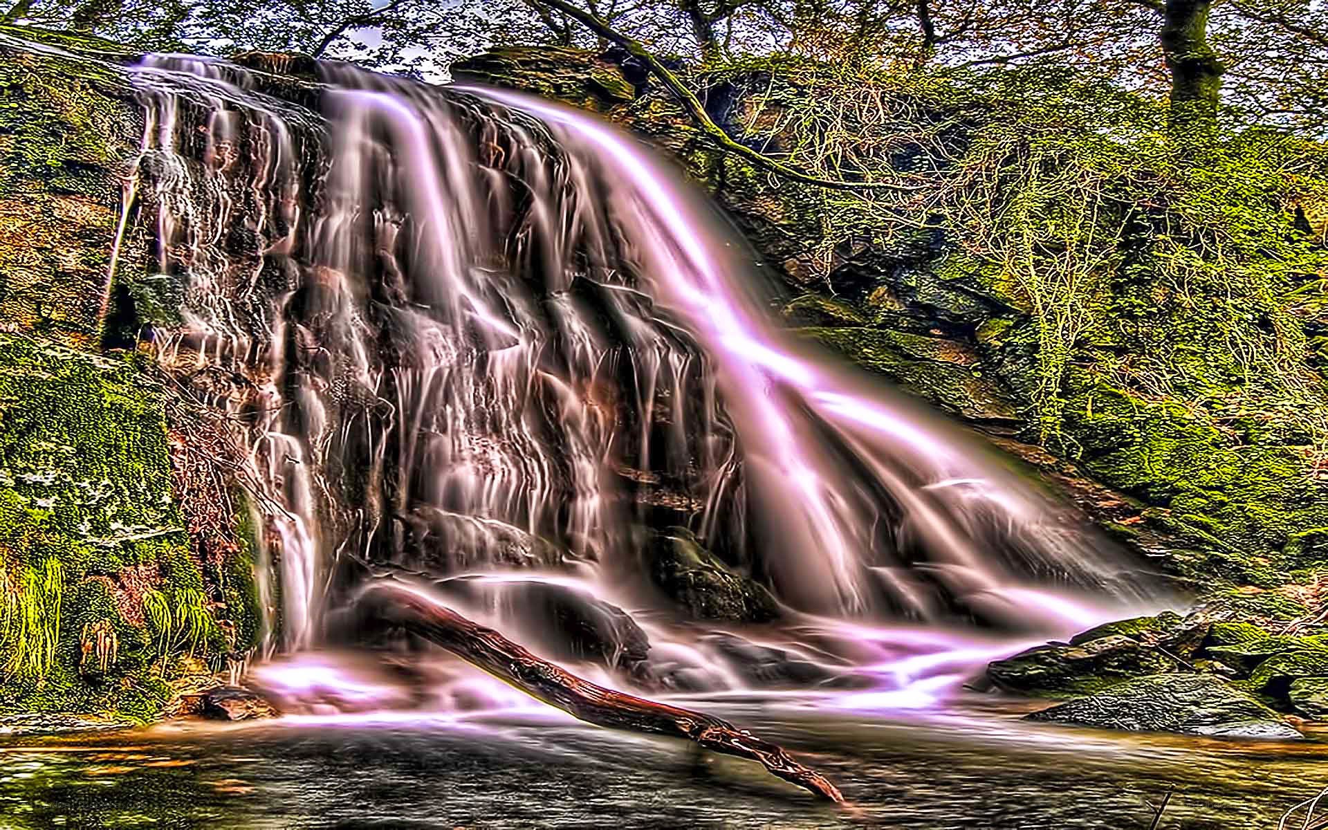 Waterfall in a forest