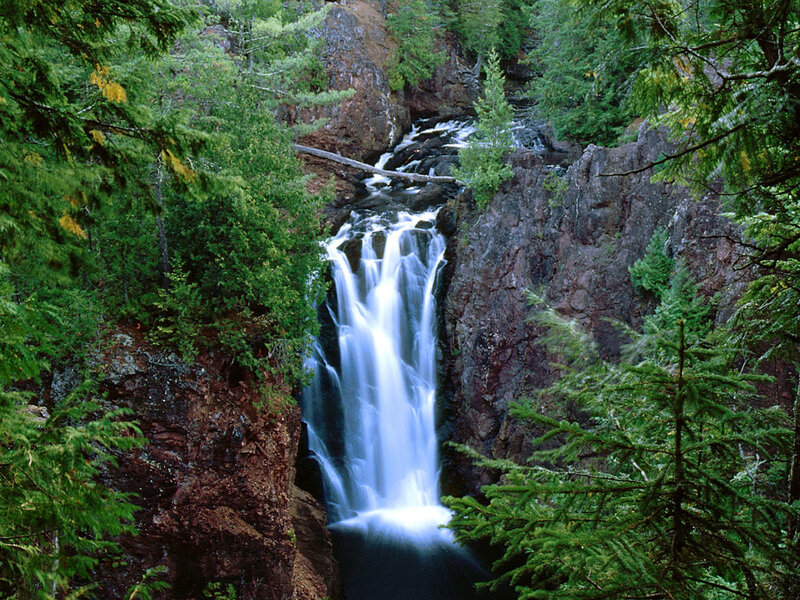 Waterfall in a forest