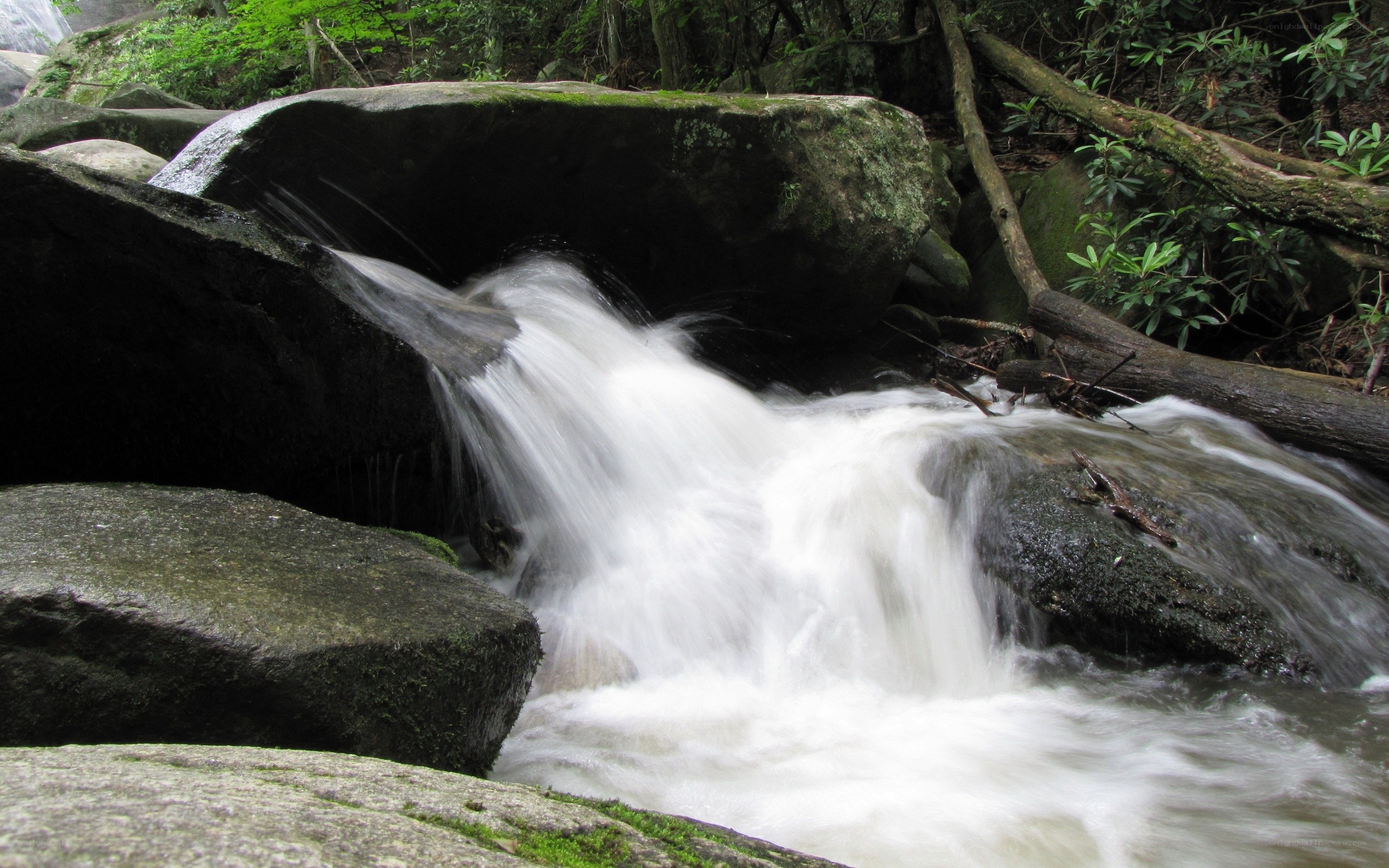 Waterfall in a forest