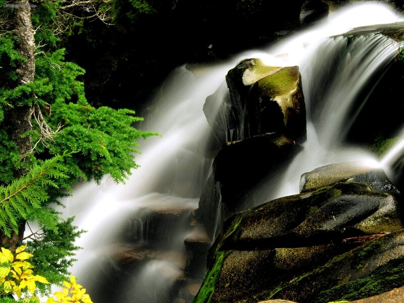 Waterfall in a forest