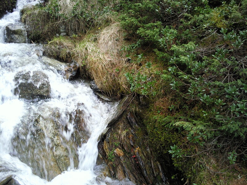 Waterfall in a forest