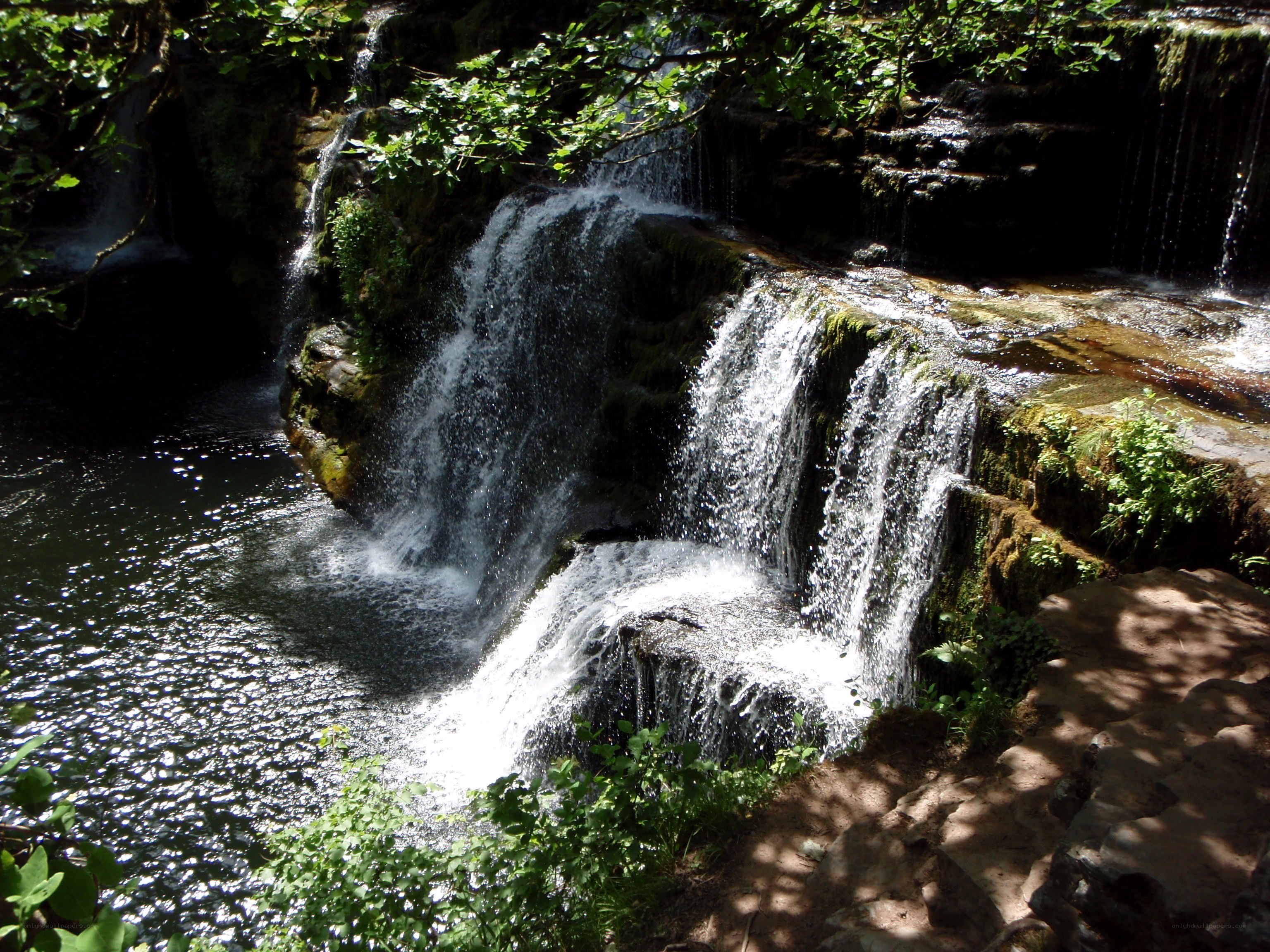Waterfall in a forest