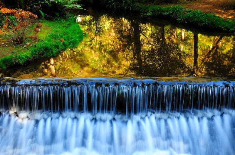 Waterfall in a forest