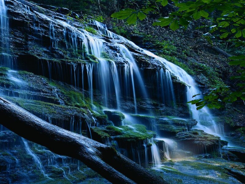 Waterfall in a forest