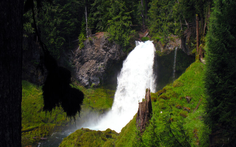 Waterfall in a forest