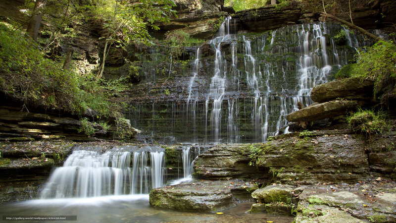 Waterfall in a forest