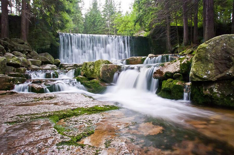 Waterfall in a forest
