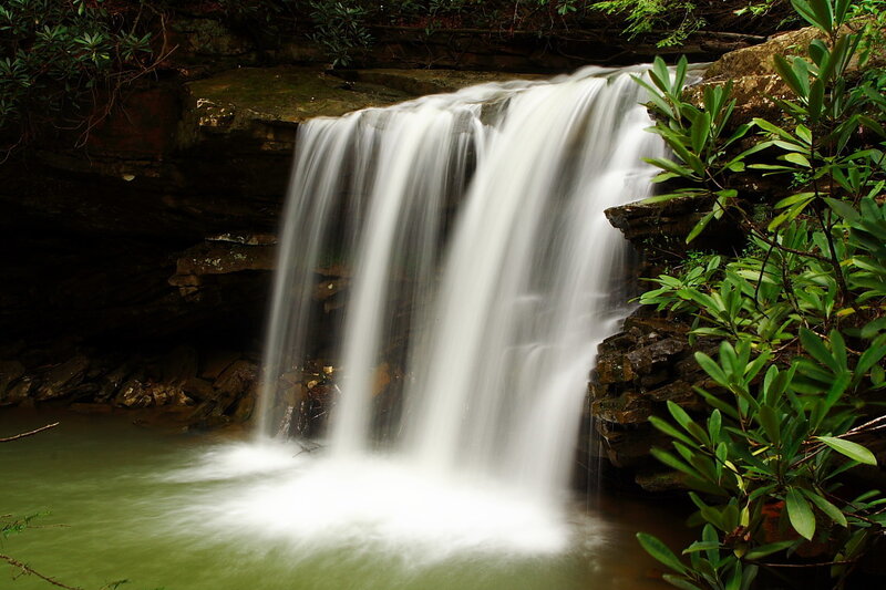Waterfall in a forest