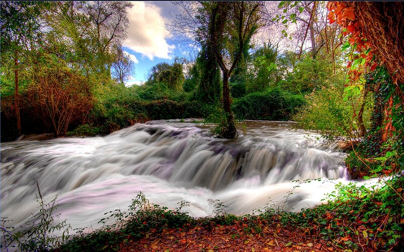 Waterfall in a forest