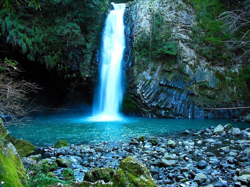 Waterfall in a forest