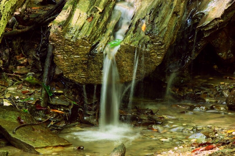 Waterfall in a forest