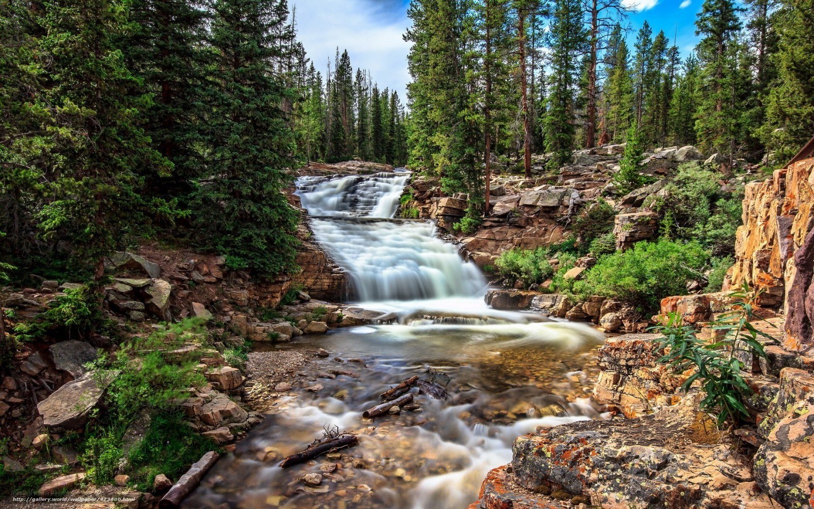 Waterfall in a forest