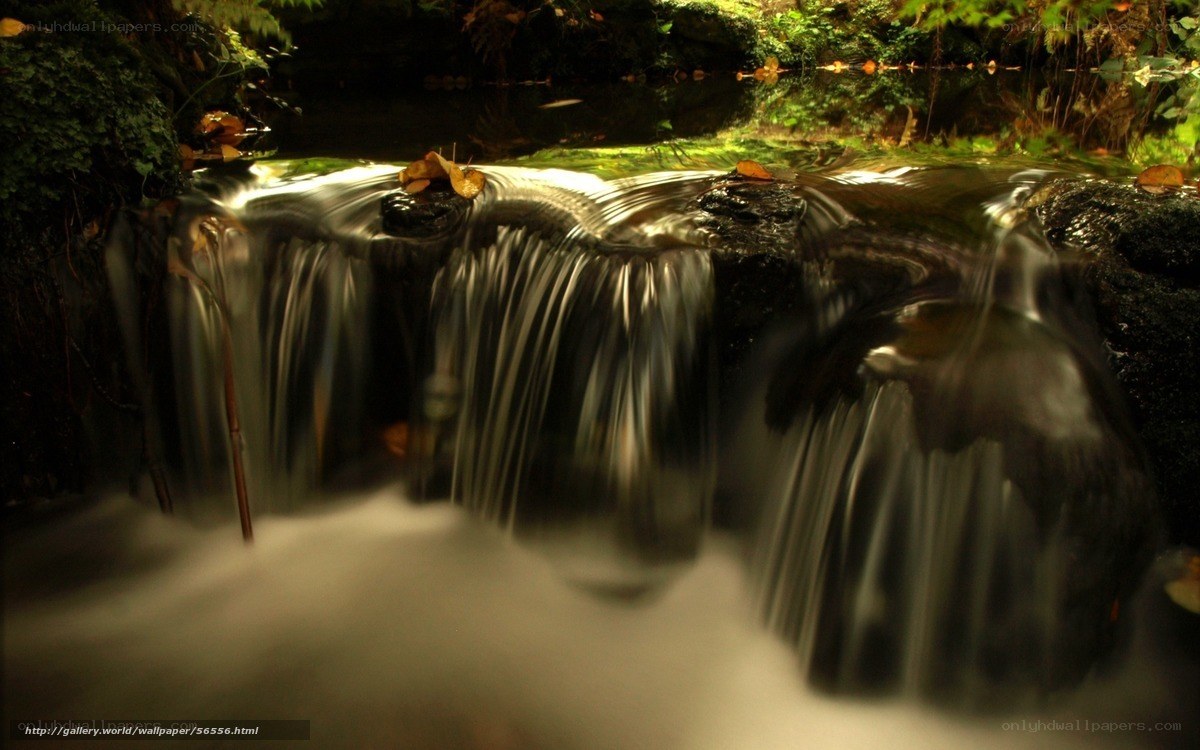 Waterfall in a forest