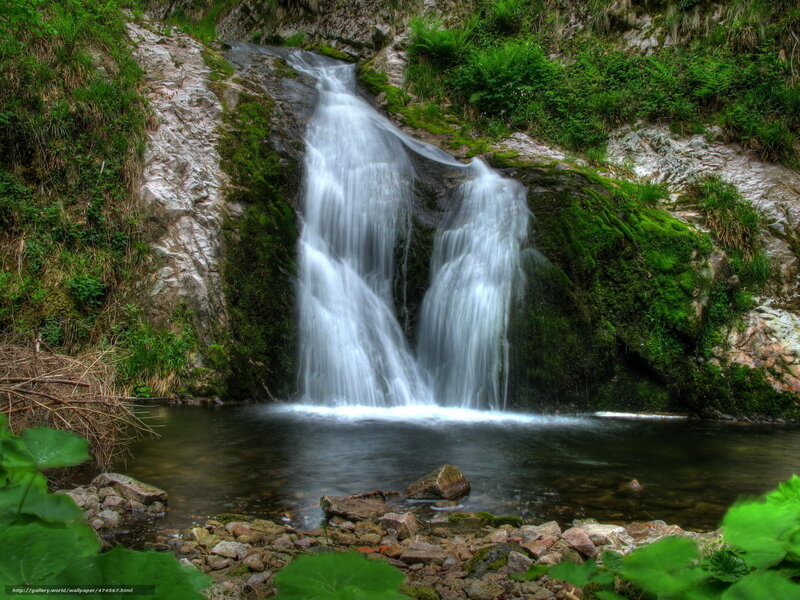 Waterfall in a forest