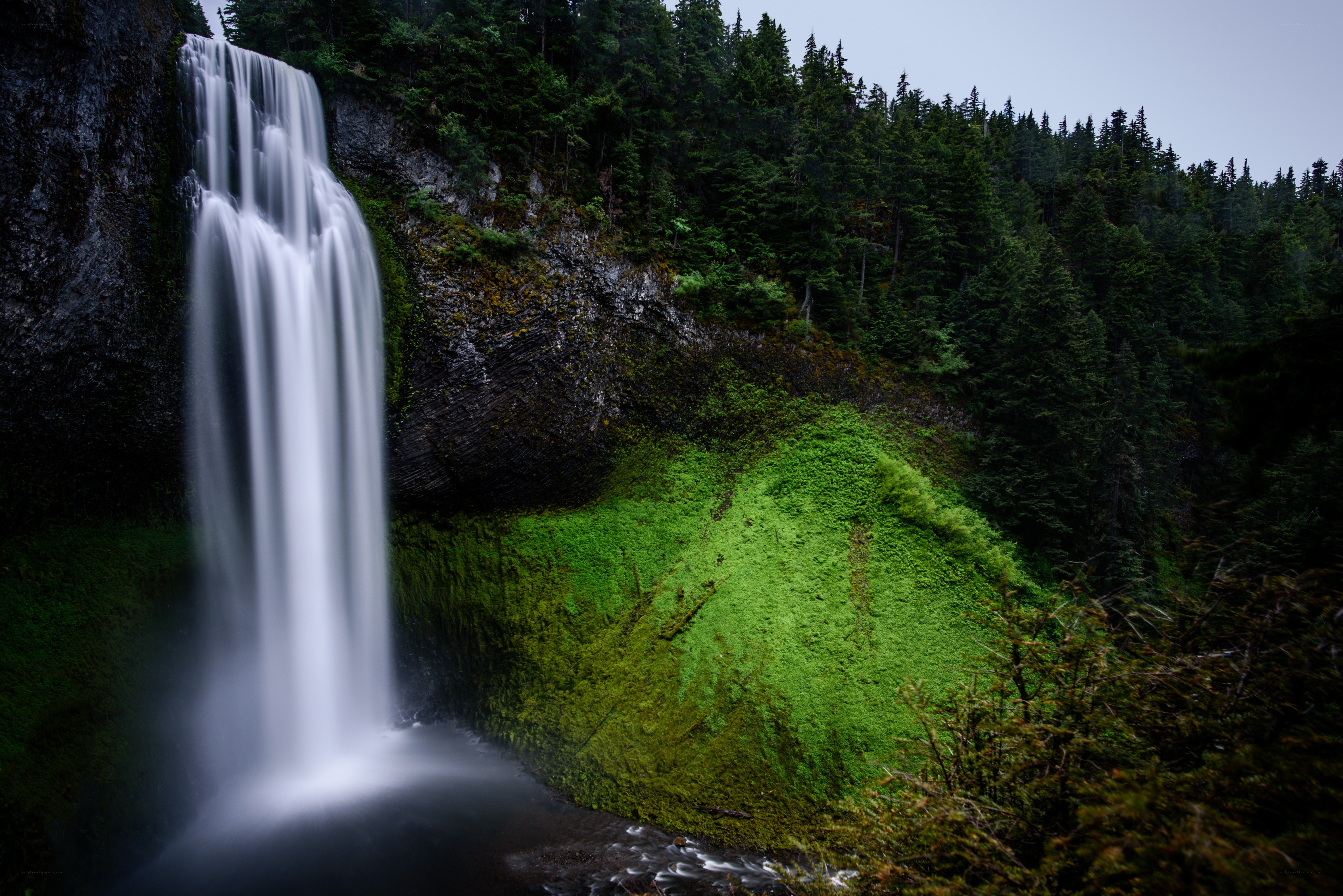 Waterfall in a forest
