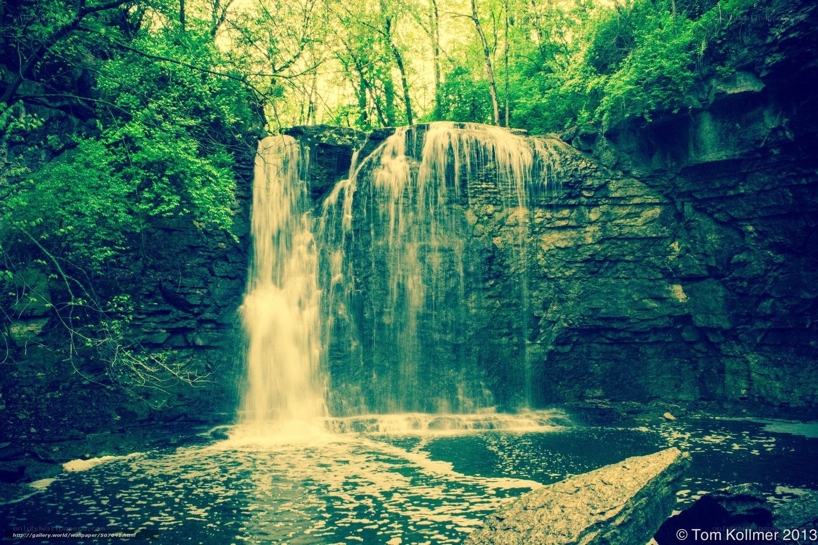 Waterfall in a forest