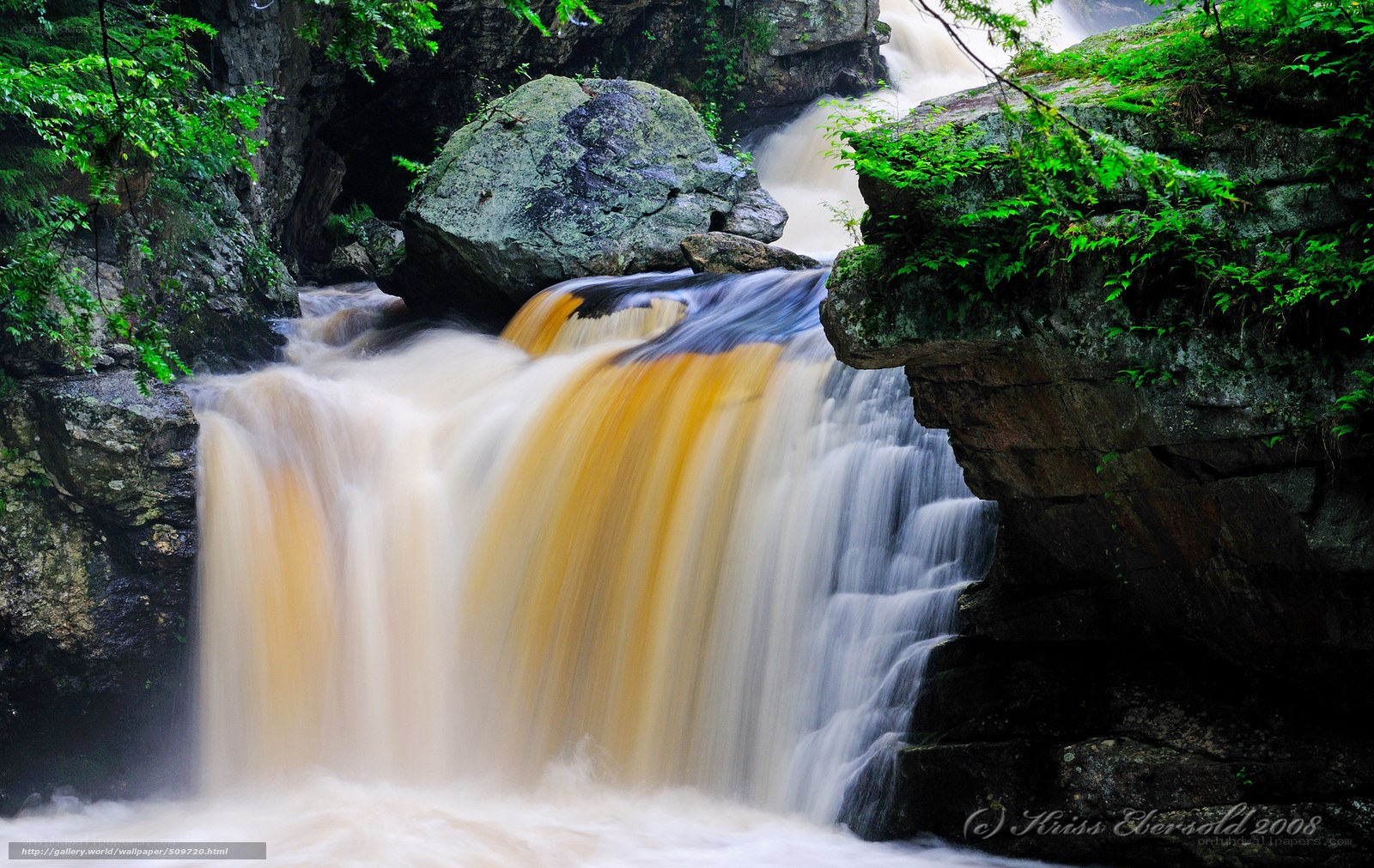 Waterfall in a forest