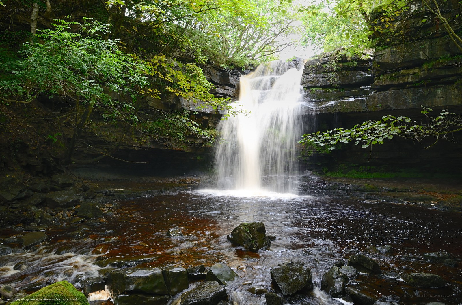 Waterfall in a forest