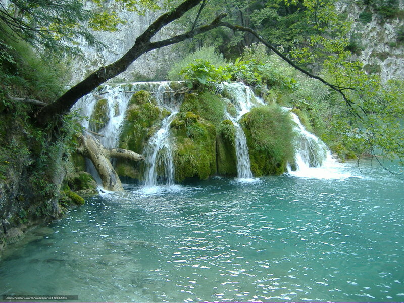 Waterfall in a forest