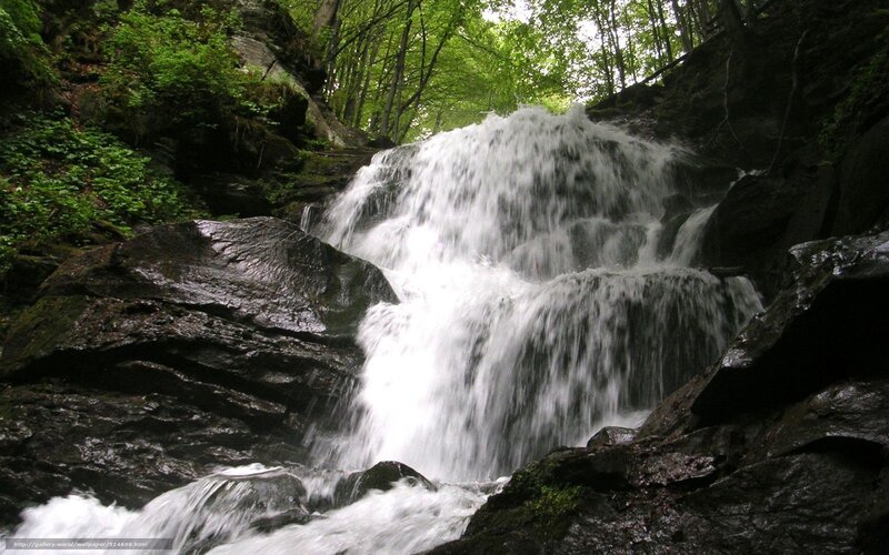 Waterfall in a forest