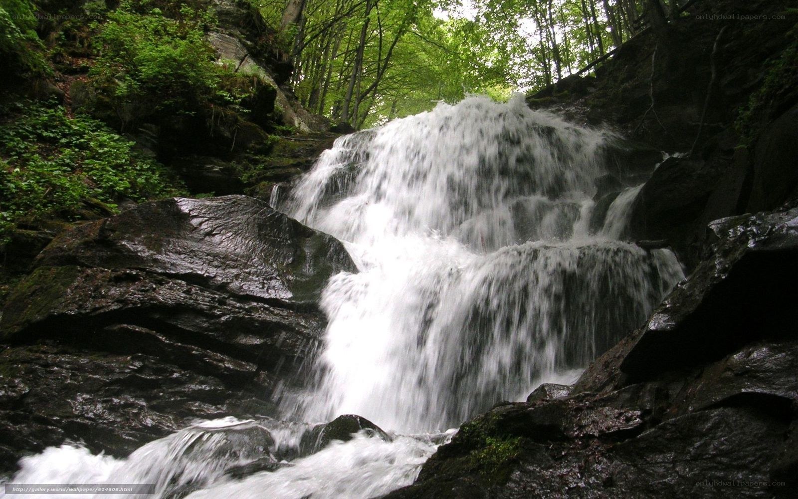 Waterfall in a forest