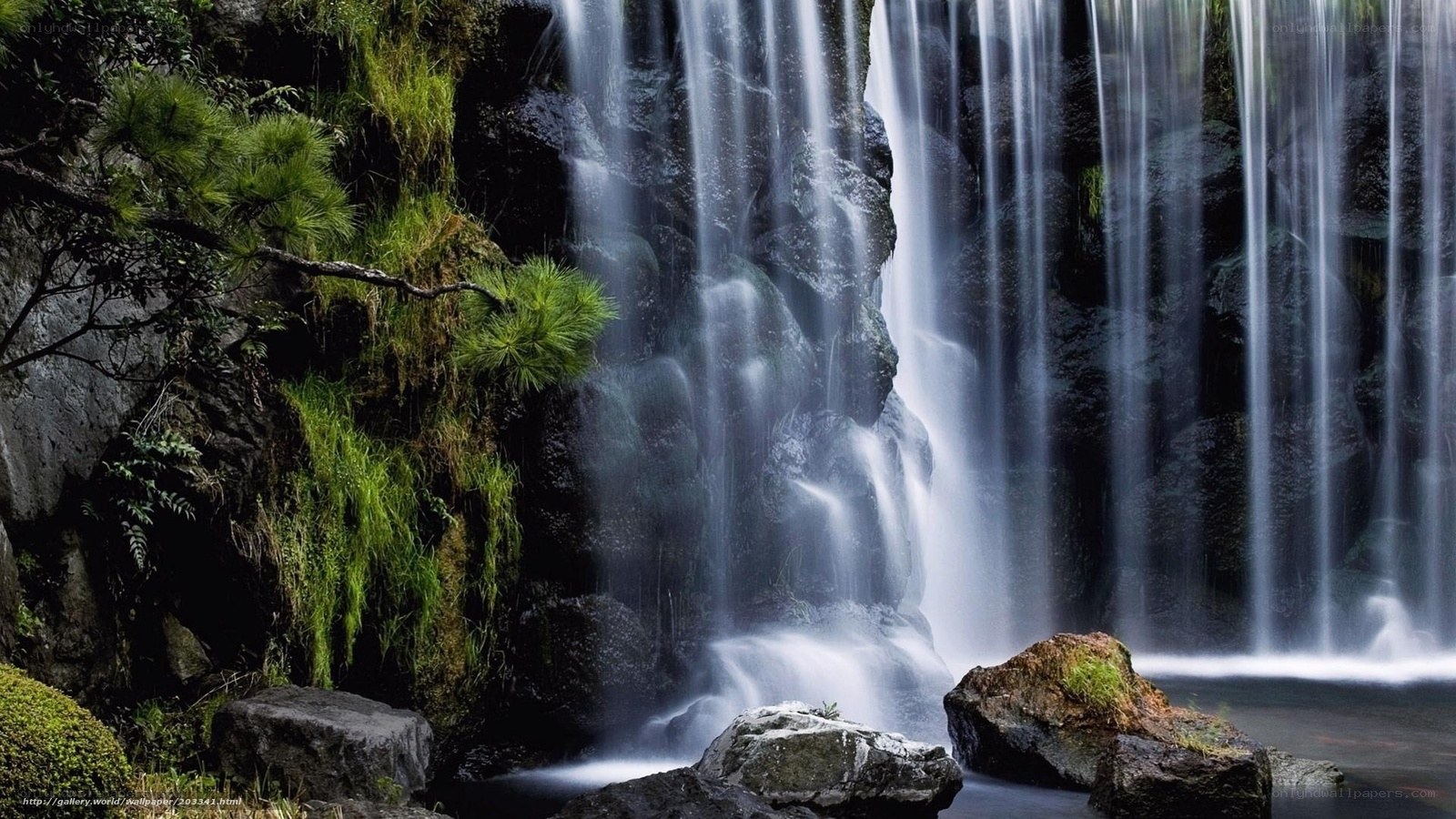 Waterfall in a forest