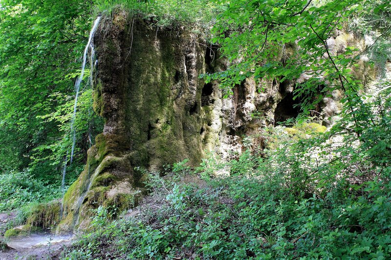 Waterfall in a forest