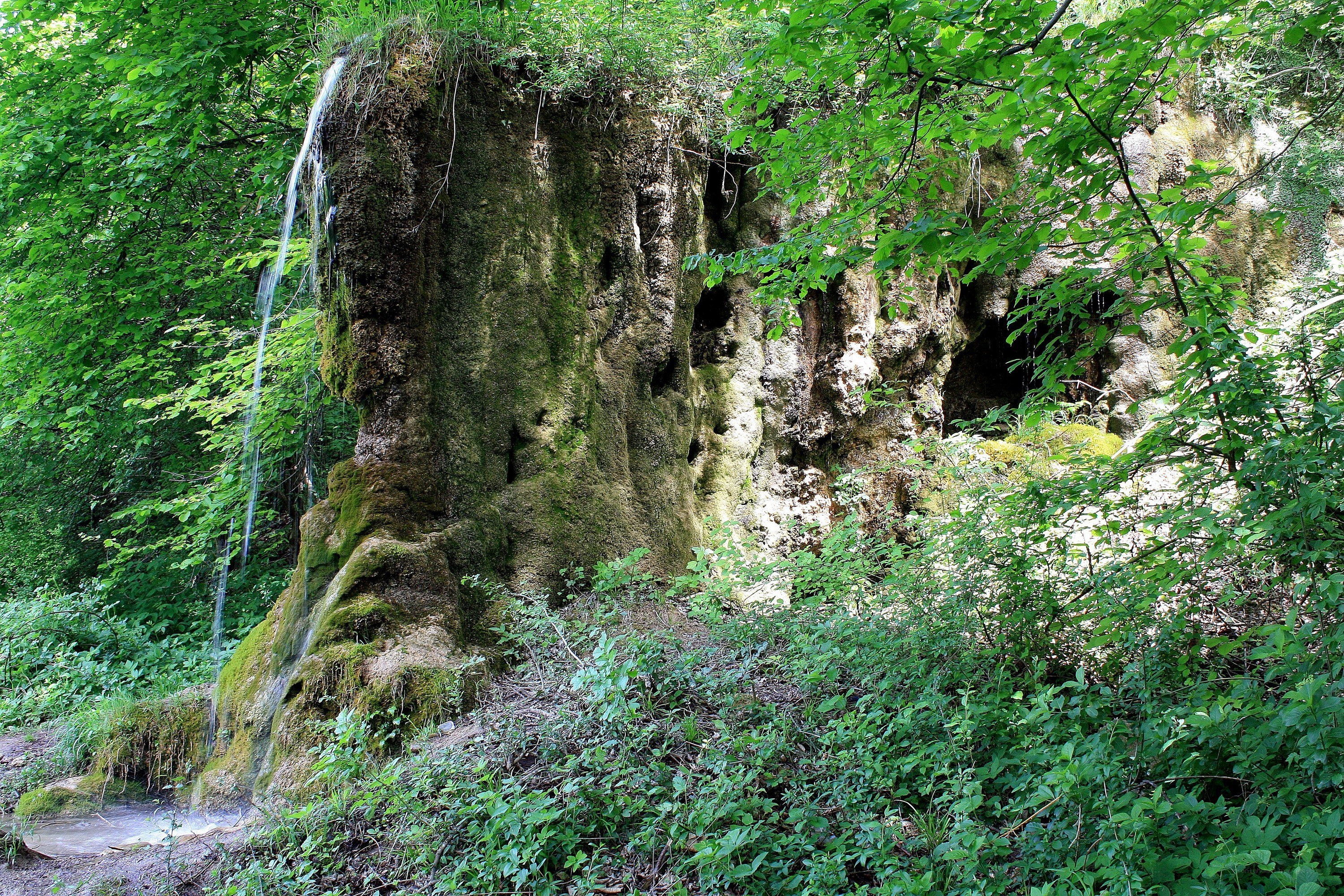 Waterfall in a forest