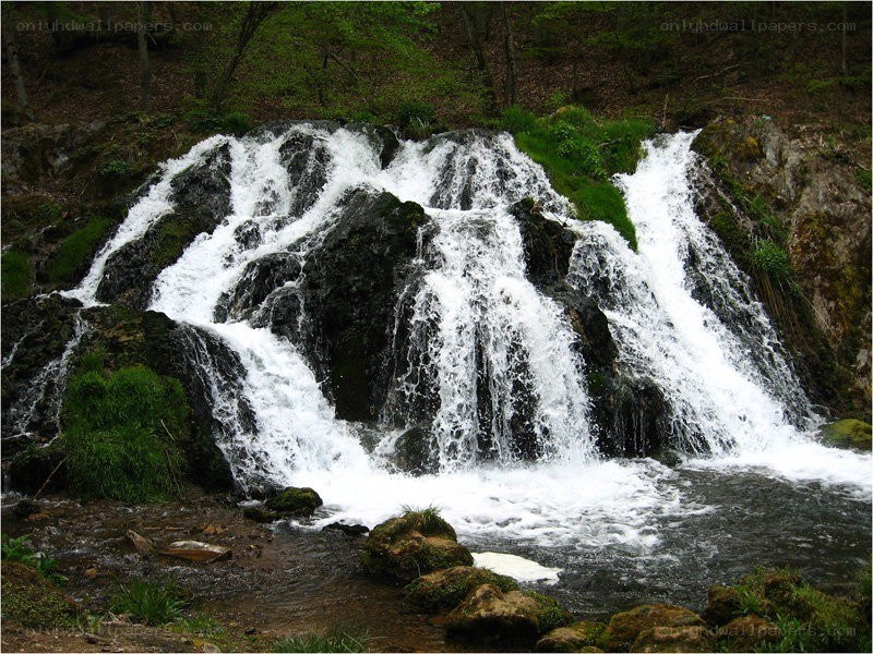 Waterfall in a forest