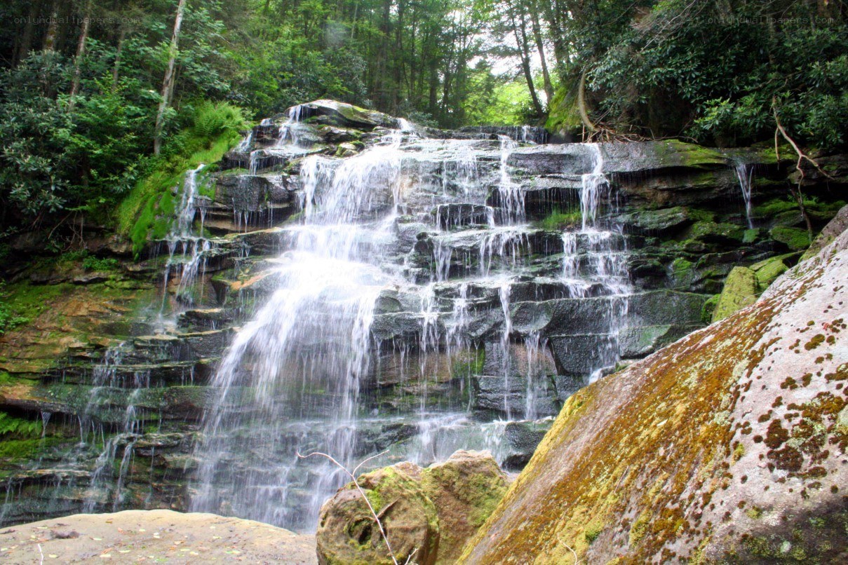 Waterfall in a forest