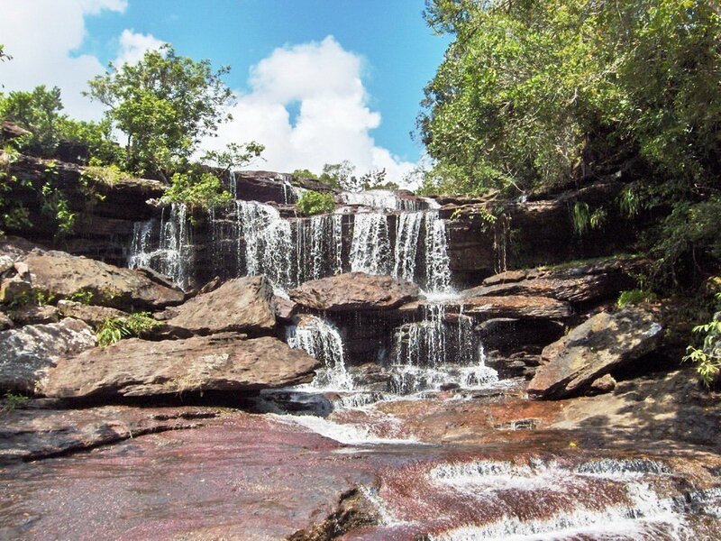 Waterfall in a forest
