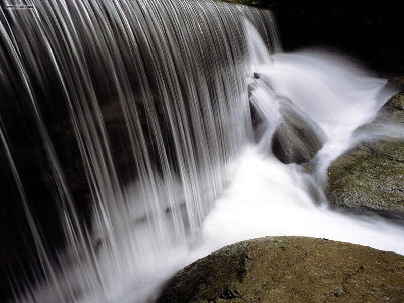 Waterfall in a forest