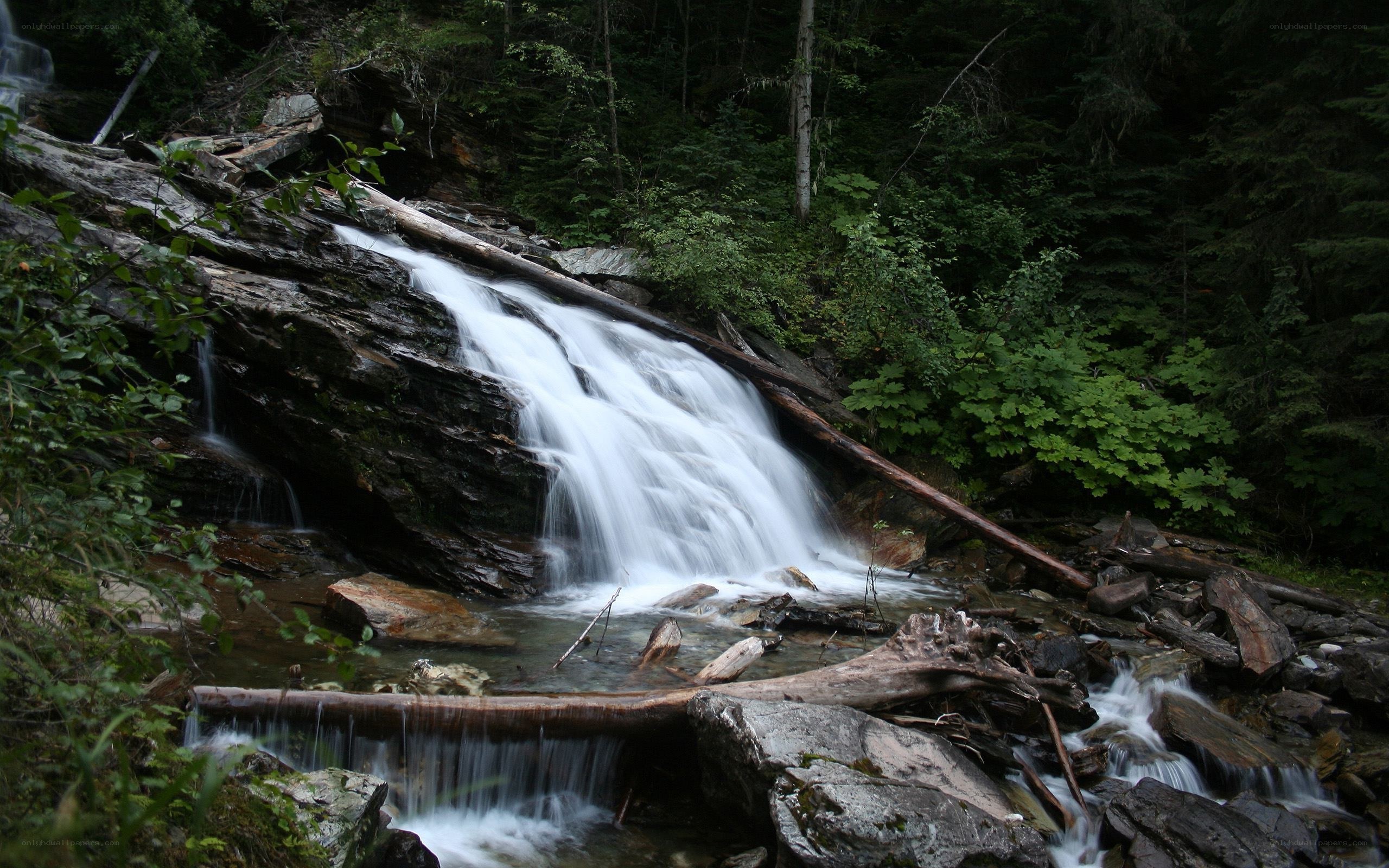 Waterfall in a forest