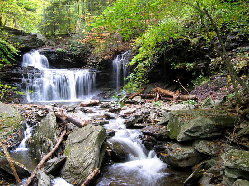 Waterfall in a forest