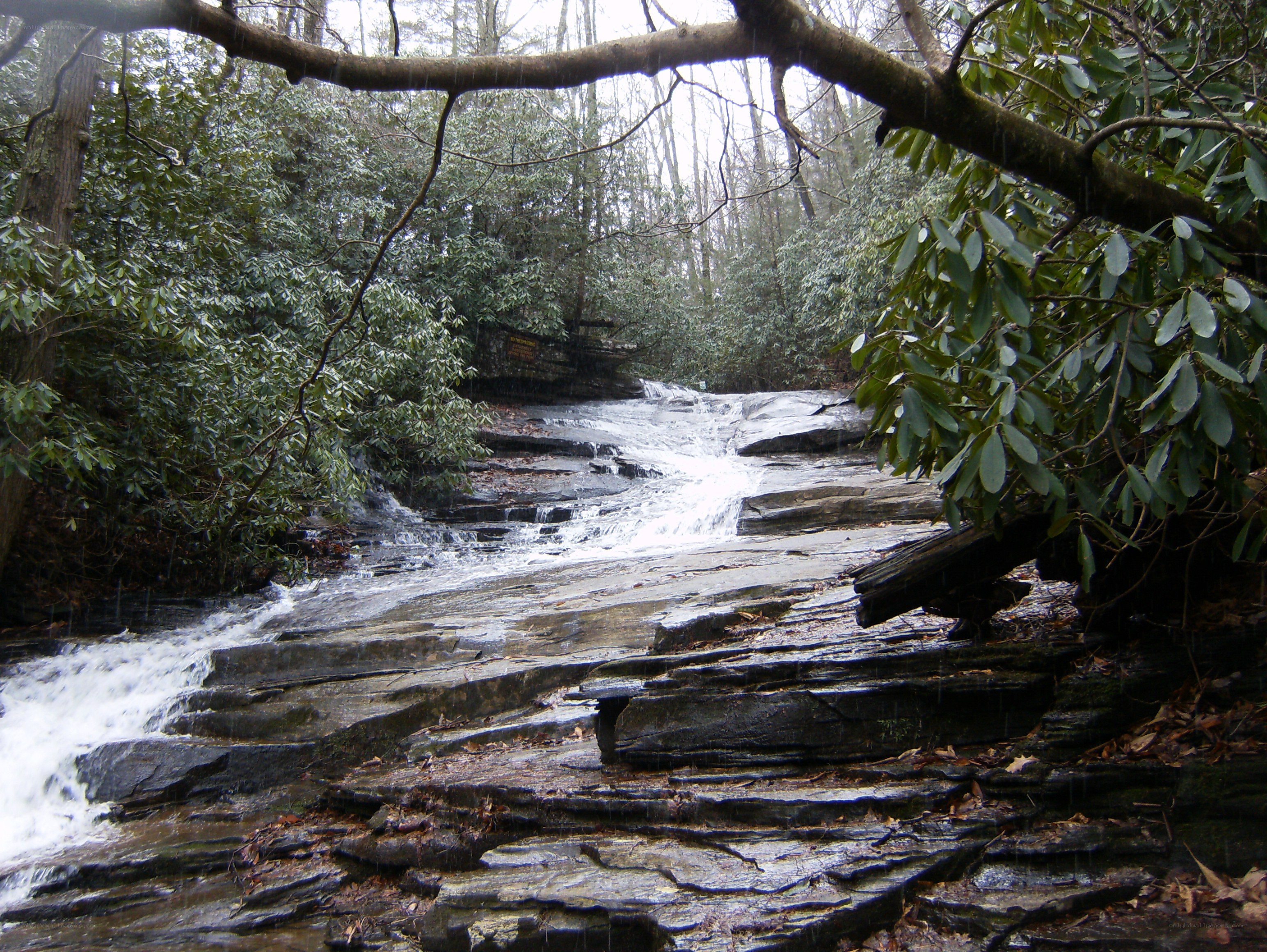 Waterfall in a forest