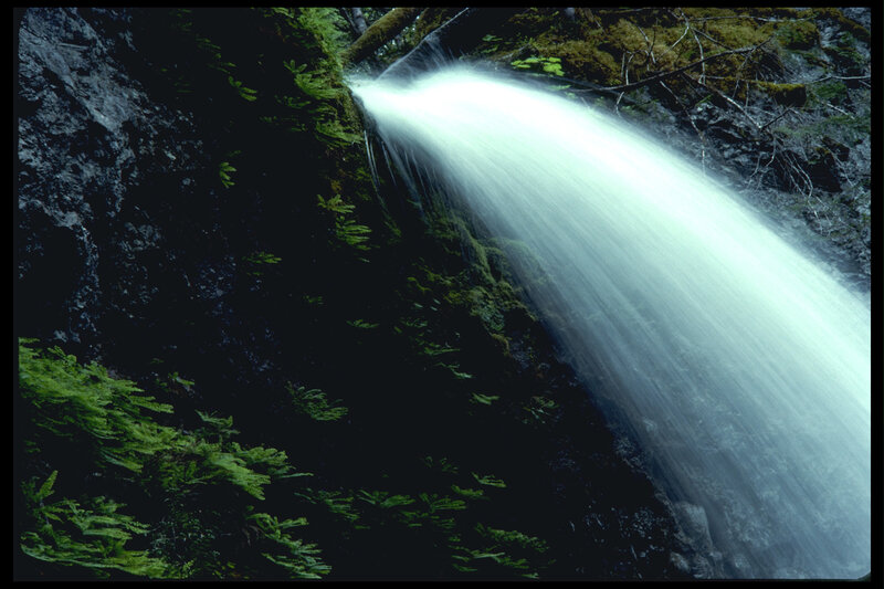 Waterfall in a forest