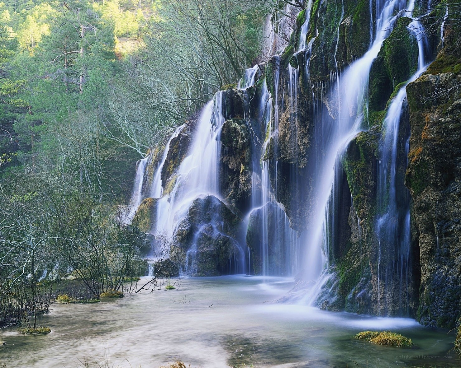 Waterfall in a forest
