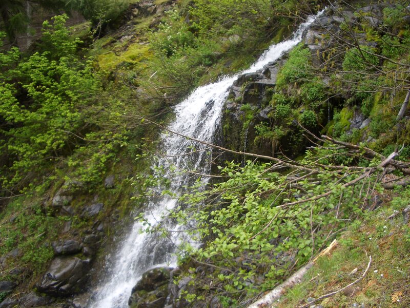 Waterfall in a forest