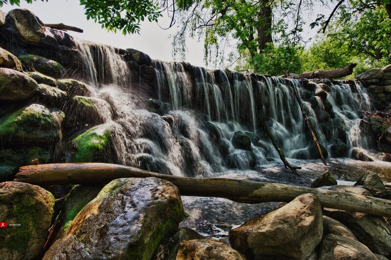 Waterfall in a forest