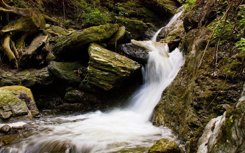 Waterfall in a forest