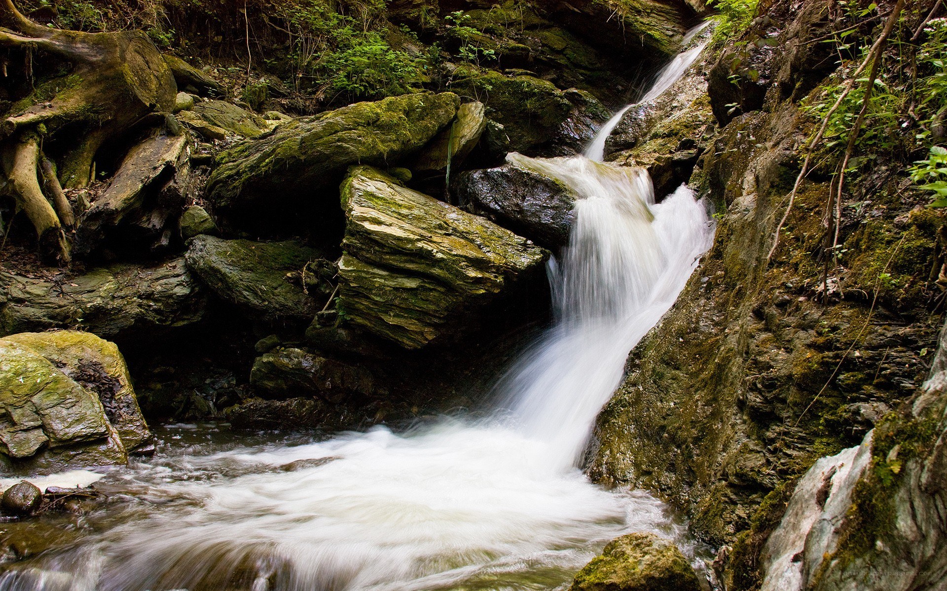 Waterfall in a forest