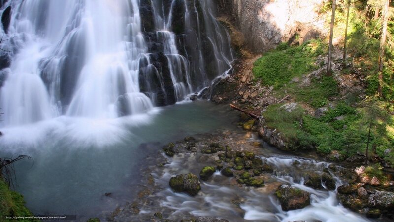 Waterfall in a forest