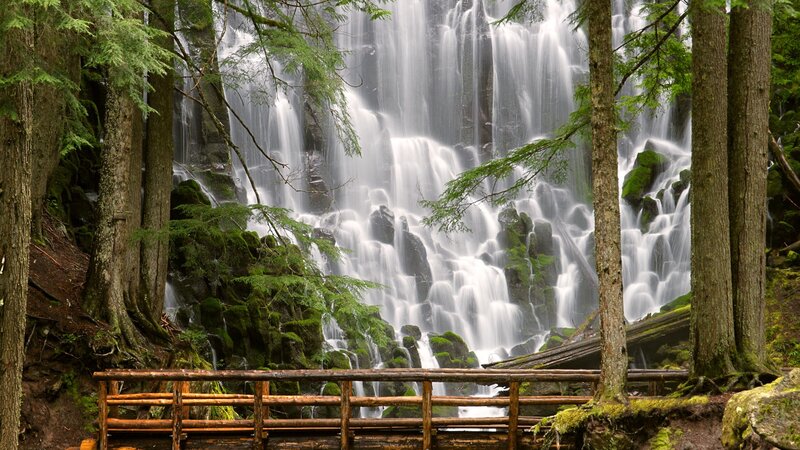 Waterfall in a forest