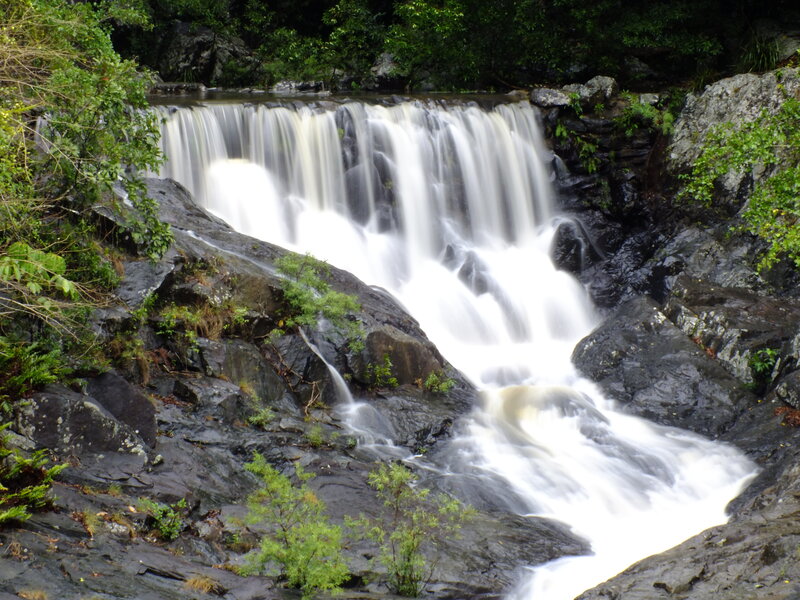 Waterfall in a forest