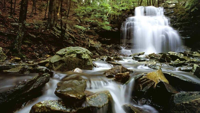 Waterfall in a forest