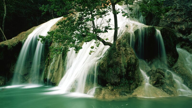 Waterfall in a forest