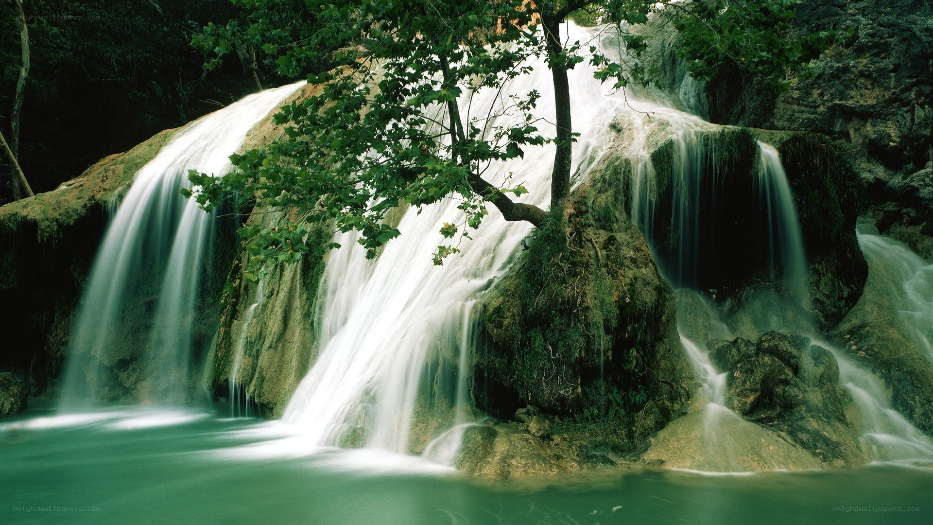 Waterfall in a forest
