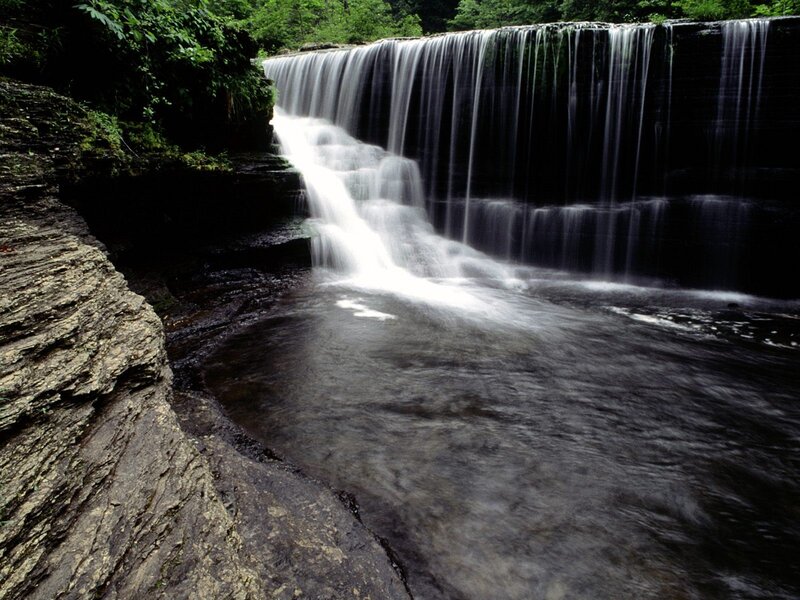 Waterfall in a forest