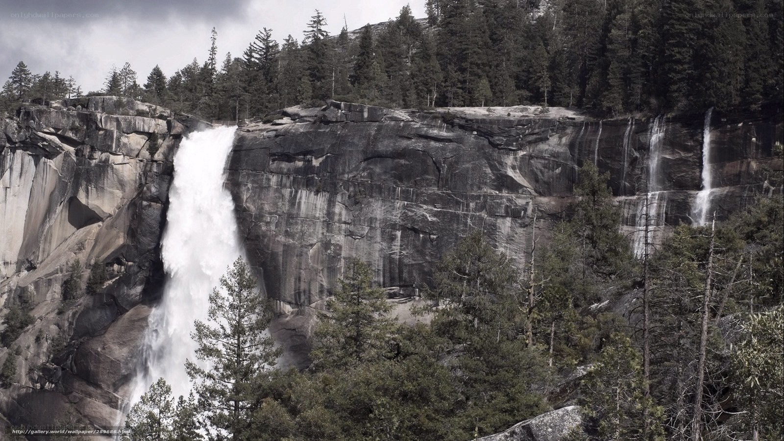 Waterfall in a forest
